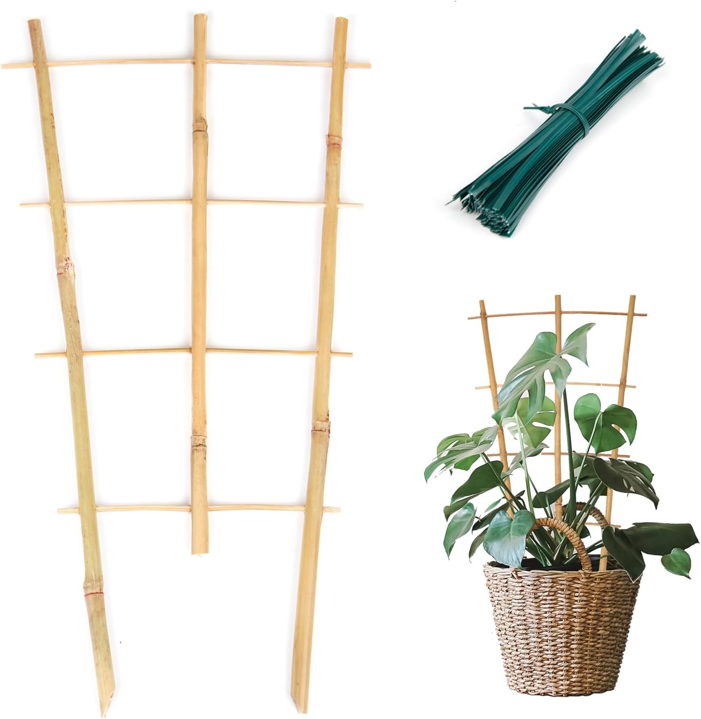 Plant Trellis Indoor 6 Pack Bamboo Trellis with Twist Ties, 16in Fan-Shaped Plant Trellises for Potted Plants Hoya Vines Monstera Houseplants-VerdiqueGarden