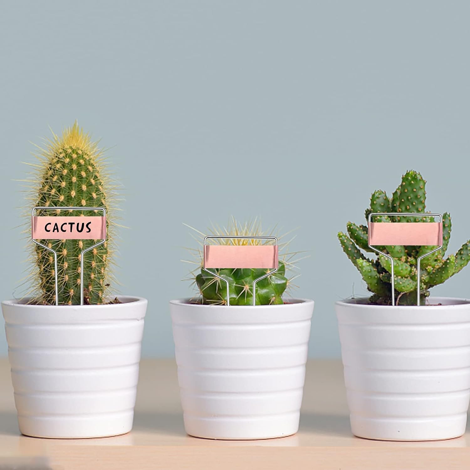 Wehhbtye 25 PCS 6 Inch Metal Plant Label Stakes-Copper Metal Plant Tags,High Copper Plate Plant Labels,Coppers Plant Tags with 1 Maker Pen for Flowers, Vegetables, Seedlings, Seed,etc-VerdiqueGarden