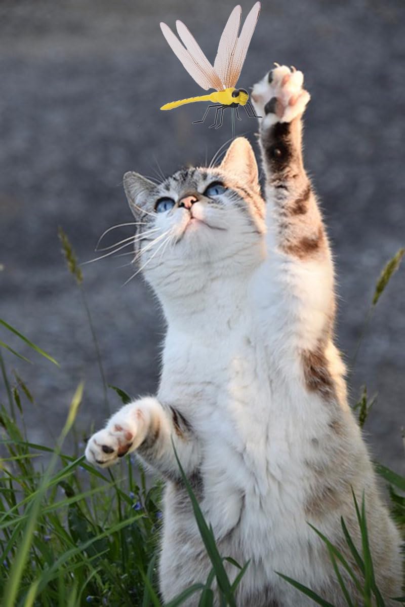 Spiritlele 20 PCS 3D Dragonfly Clips Colorful Hat Clip Fake Dragonfly Garden Decor for Patio Outdoor Indoor-VerdiqueGarden