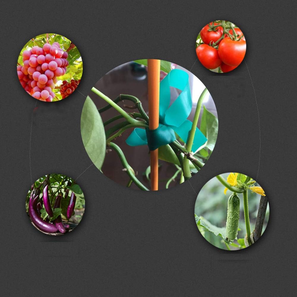 6 Rolls 150 Feet Stretch Tie Tape 0.5 Inch Garden Tie Tape Thick Plant Ribbon Garden Green Vinyl Stake for Indoor Outdoor Patio Plant Use-VerdiqueGarden