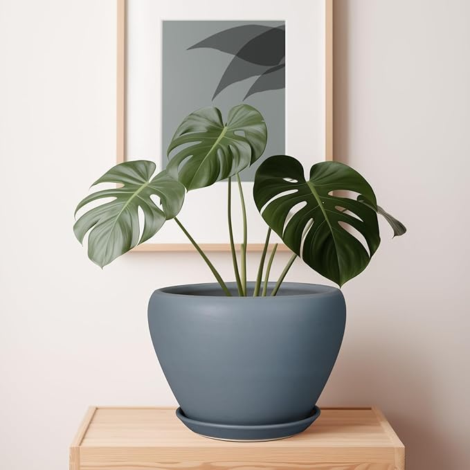 10 Inch Plant Pot - Ceramic Planter for Indoor Plants Large Plant Pot with Drainage Hole and Saucer Round Outdoor Planter Modern Flower Pot for Home Decor Gray-VerdiqueGarden