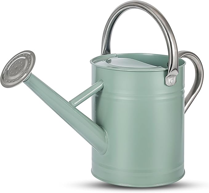 1 Gallon Watering Can for Plants, Watering Cans for Indoor&Outdoor Gardening, Galvanized Steel Watering Pot with Removable Spout, Metal Water Can with Ergonomic Movable Handle(Cream Green)-VerdiqueGarden