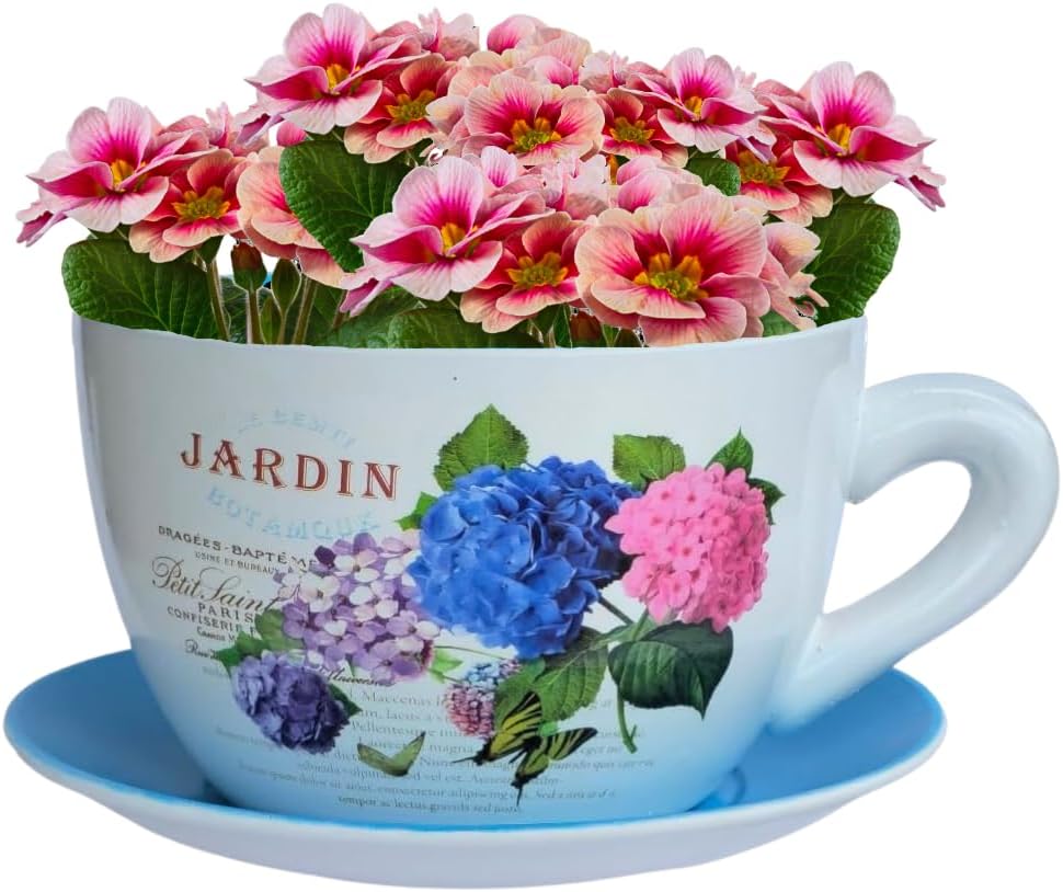 7.5" Ceramic Teacup Planter Pot with Saucer | Ideal for Succulents, Orchids, Herbs & Flowers | Indoor Use| Thoughtful Gift for Birthday, Gift Basket, Sympathy & More – Blue Hydrangea Jardin-VerdiqueGarden