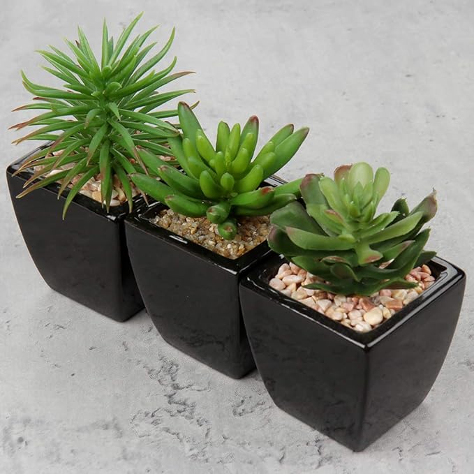 Hollyone Small Succulents Artificial 3 Pcs Faux Succulents in Pots Fake Succulent Plants with Black Ceramic Pots for Modern Home Office Desk Bathroom Shelf Living Room Decor-VerdiqueGarden