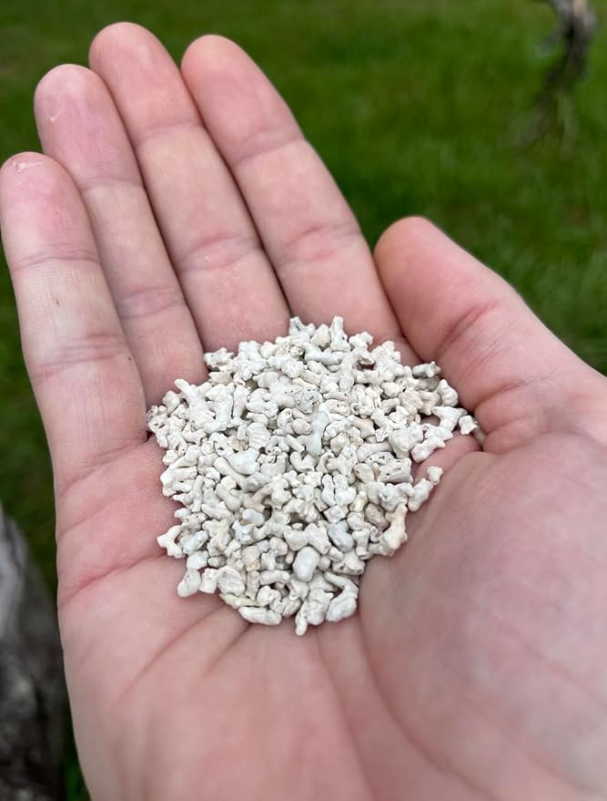 LitChicks’ Calcified Seaweed for Laying Chickens - Crushed Oyster Shell Alternative - Highly Digestible - Single Ingredient - Helps with Egg Laying & Flock Health.-VerdiqueGarden