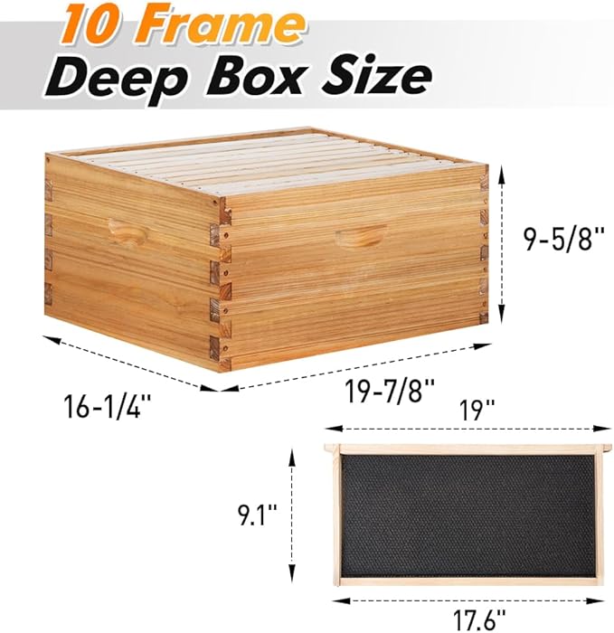 POLLIBEE 10 Frame Langstroth Beehive, Beeswax Coated Bee Hives for Bee Keeper,Beehive Include 2 Deep Bee Boxes and 1 Medium Bee Hive Box with Frame and Foundation(Unassembled)-VerdiqueGarden