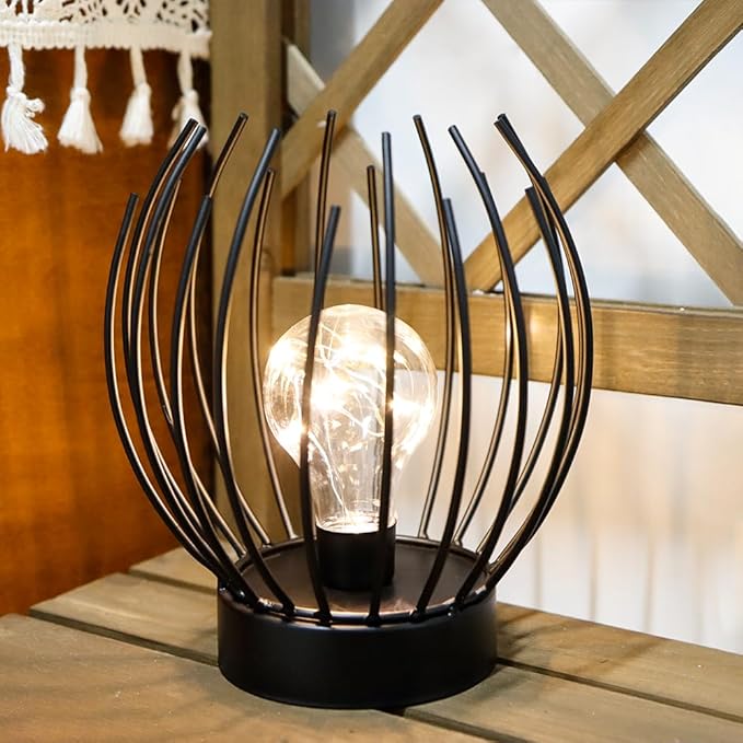 JHY DESIGN Decorative Battery Table Lamp Battery Powered Lights Indoors lamp with LED Bulb Battery Operated Outdoor Lantern Great for Room Decor Parties Patio Events-VerdiqueGarden