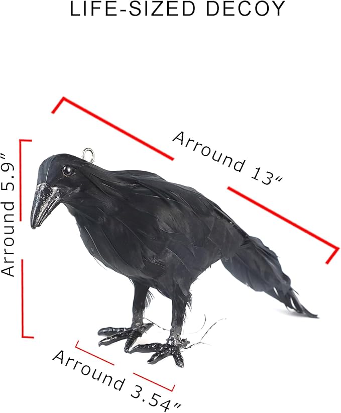 Hanging Dead Crows, 13 Inches Life-Size Raven, Realistic Handmade Fake Decoy for Garden Christmas Halloween Decorations [Face Up+Face Down+Stand] 2PC-VerdiqueGarden