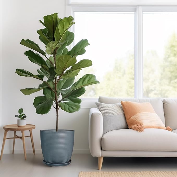 12 Inch Pots for Plants Ceramic Planter Pot Large Flower Pot with Drainage Hole and Saucer for Home Patio Garden Office Indoor Outdoor Gray-VerdiqueGarden