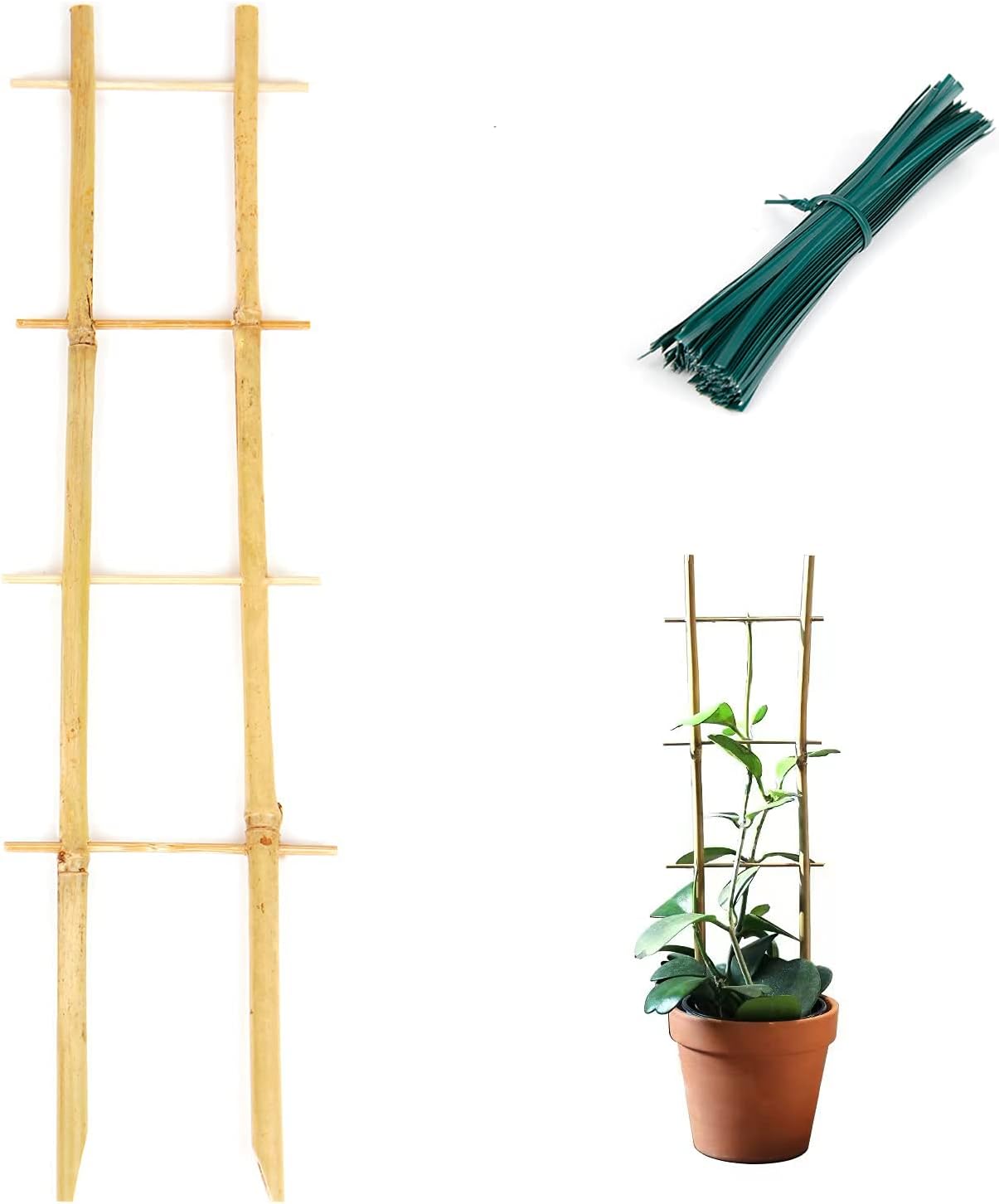 Bamboo Trellis, 16in Ladder-Shaped Trellis for Potted Plants, 3 Pack for Climbing Plants Indoor-VerdiqueGarden