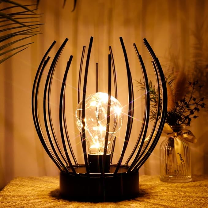 JHY DESIGN Decorative Battery Table Lamp Battery Powered Lights Indoors lamp with LED Bulb Battery Operated Outdoor Lantern Great for Room Decor Parties Patio Events-VerdiqueGarden