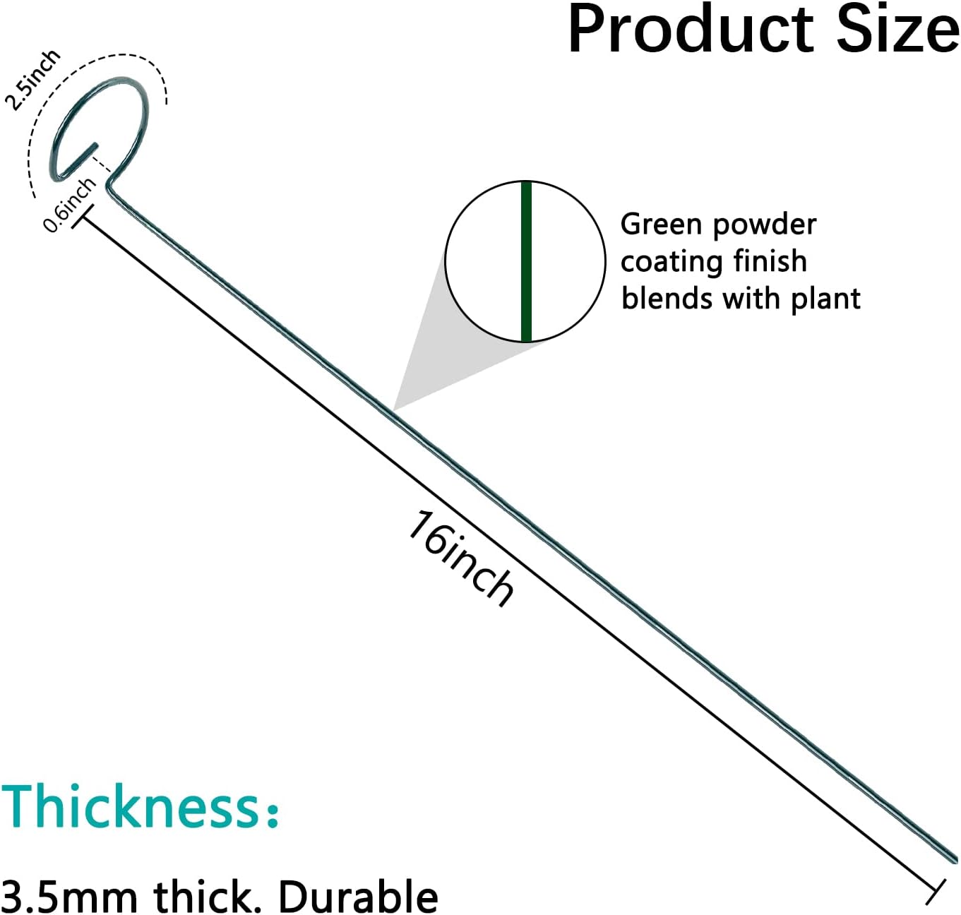 12 Pack 16 Inch Plant Support Stakes, Metal Single stemmed Flower Support Hoops，Garden Plant Stakes Plant Prop for Amaryllis Orchid Lily Rose Peony Tomatoes Gladiolus-VerdiqueGarden