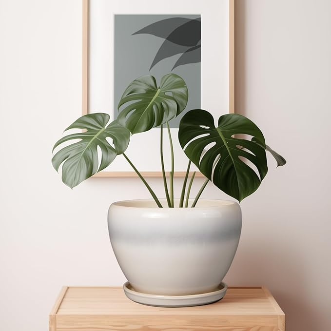 10 Inch Ceramic Planter Pot - Large Plant Pot with Drainage Hole and Saucer Round Flower Pot for Indoor Plants, White-VerdiqueGarden