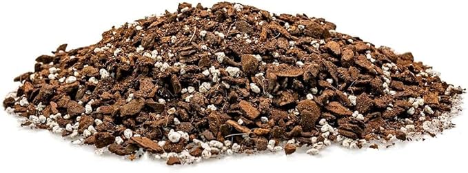 Monstera Dubia Soil Mix - Promotes Healthy Root Growth and Moisture Retention - 2 Quart-VerdiqueGarden