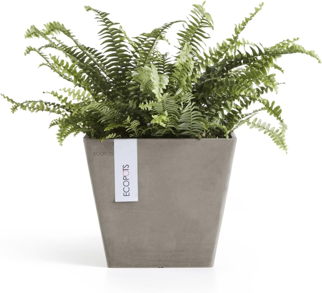 Ecopots Rotterdam Durable Modern Square Indoor/Outdoor Recycled-Based Composite Flower Planter, Taupe, 8"-VerdiqueGarden