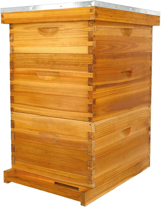 POLLIBEE 10 Frame Langstroth Beehive, Beeswax Coated Bee Hives for Bee Keeper,Beehive Include 2 Deep Bee Boxes and 1 Medium Bee Hive Box with Frame and Foundation(Unassembled)-VerdiqueGarden