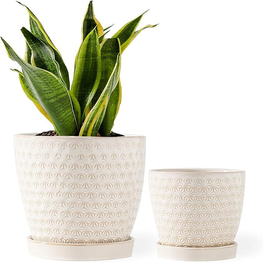 Plant Pots, Flower Pots, Planters for Indoor Plants(6.5+5.5inch), Flower Pots for Indoor Plants with Drainage Hole and Saucer, Ceramic Pots for Plants with Hole Mesh Pad,Reactive Glaze White-VerdiqueGarden