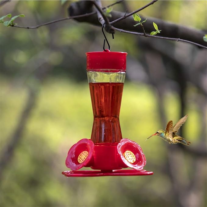 Nature's Rhythm Bird Feeder 4 bee Guard Plastic Feeding Port 8oz Glass Pinch Waist Hummingbird Feeder,1pcs-VerdiqueGarden