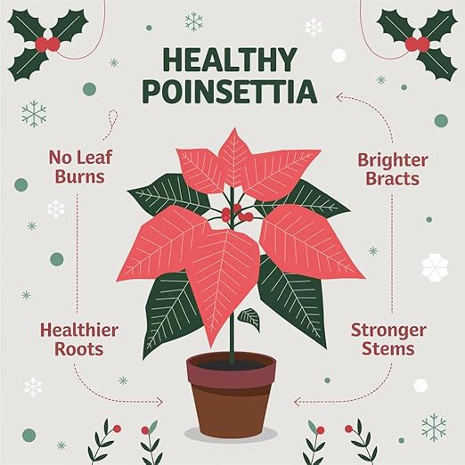 Poinsettia Plant Fertilizer - 3-1-2 NPK - Organic Liquid Plant Food for Christmas Flowers and Trees - 32oz Concentrate-VerdiqueGarden
