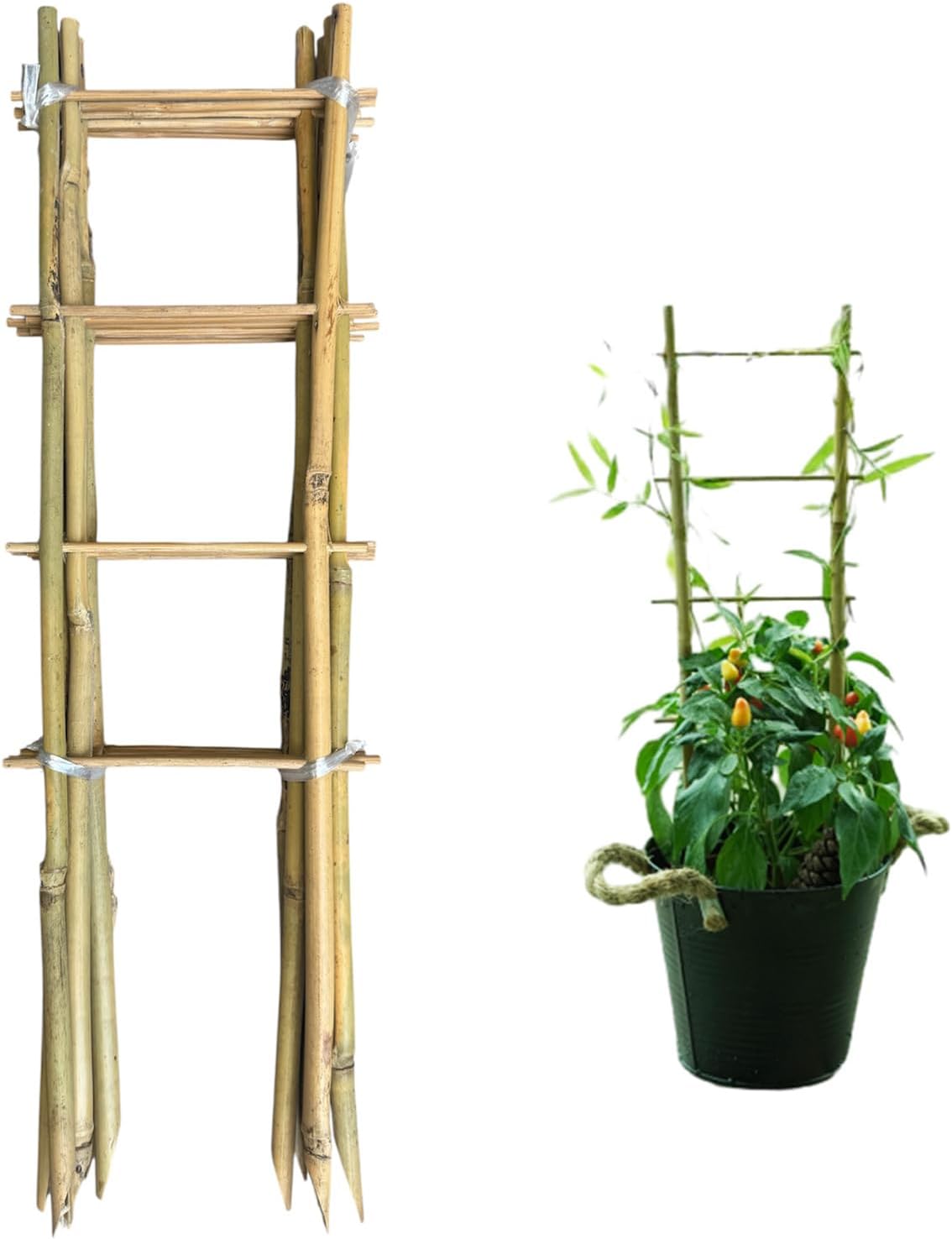 Natural Bamboo Trellis 16inch for Climbing Plants 6 Pack - Plant Ladder Trellis with Garden Ties, Outdoor Decorative Plant Support Stakes for Vines Flowers Vegetables (Ladder-Shape)-VerdiqueGarden