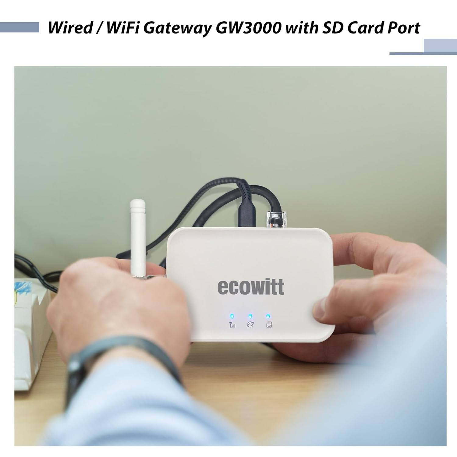 Ecowitt GW3000 Wi-Fi & Ethernet Weather Station Gateway, with Built-in Temperature, Humidity and Barometric Sensors with SD Card Port, 915 MHz-VerdiqueGarden