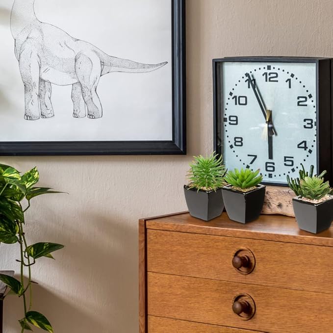 Hollyone Small Succulents Artificial 3 Pcs Faux Succulents in Pots Fake Succulent Plants with Black Ceramic Pots for Modern Home Office Desk Bathroom Shelf Living Room Decor-VerdiqueGarden