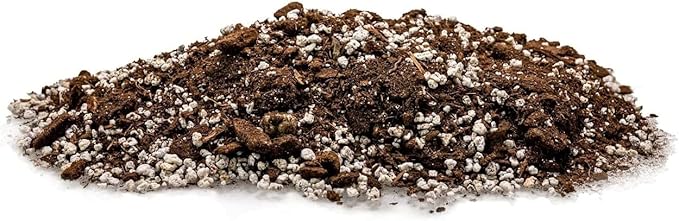 Premium Aloe Vera Potting Soil Mix - (1 Quart Bag)-VerdiqueGarden
