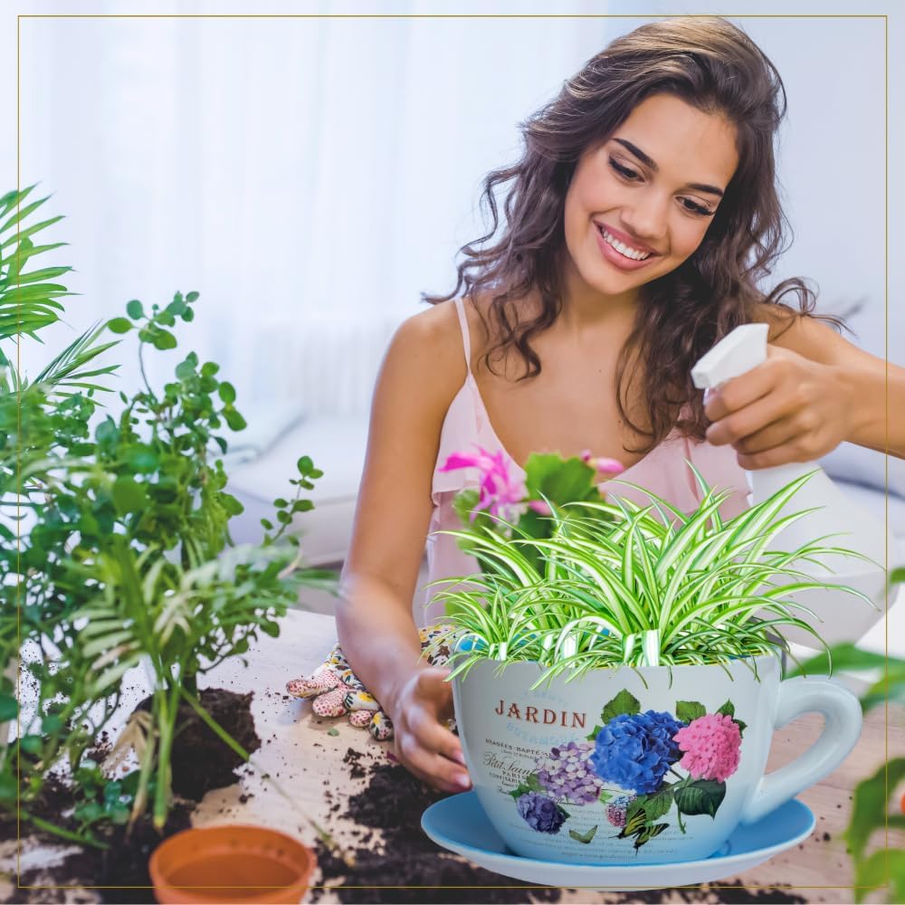 7.5" Ceramic Teacup Planter Pot with Saucer | Ideal for Succulents, Orchids, Herbs & Flowers | Indoor Use| Thoughtful Gift for Birthday, Gift Basket, Sympathy & More – Blue Hydrangea Jardin-VerdiqueGarden