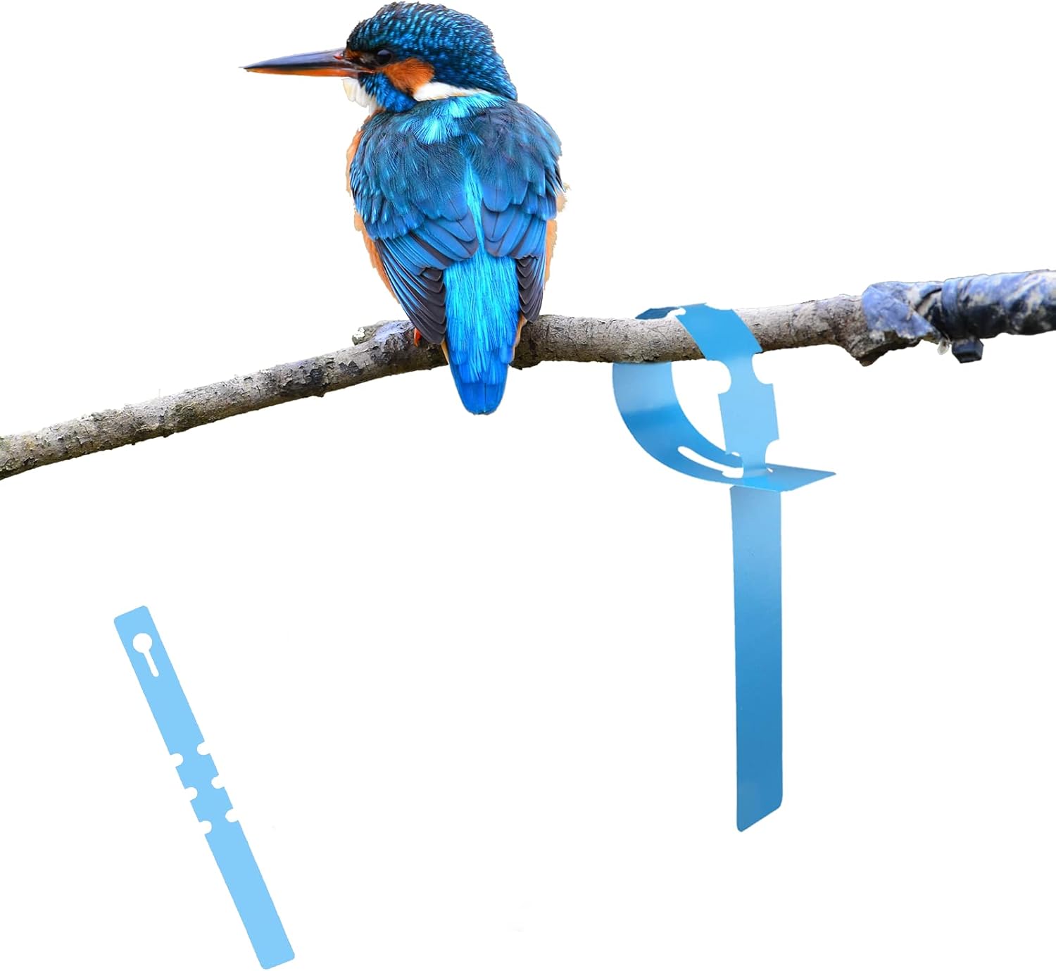 100Pcs Plant Tags Wrap Around Tree Tags Markers, Removable,Adjustable Garden Labels Plant Tags(8.27"x0.8", Blue)-VerdiqueGarden