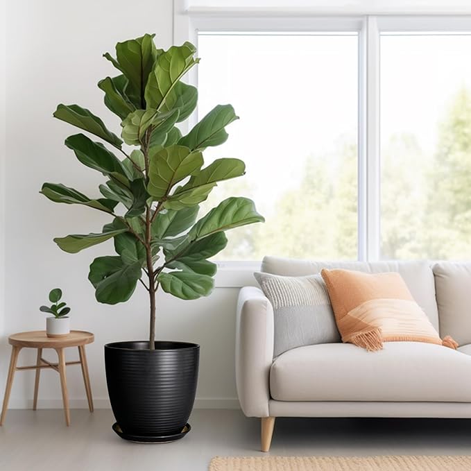 12 Inch Pots for Plants - Ceramic Planter Pot, Large Flower Pot with Drainage Hole and Saucer for Home Patio Garden Office Indoor Outdoor, Black-VerdiqueGarden