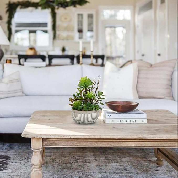 DILATATA Small Faux Plant Assorted Fake Succulents Plants Faux Succulents Arrangement Cement Potted Desk Plants Small Fake Plants for Home Table Office Bathroom Shelf Living Room Decor-VerdiqueGarden