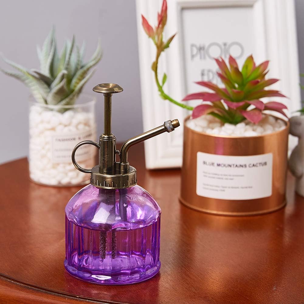 Glass Plant Mister Spray Bottle, Vintage Plant Spritzer Sprayer Mister, Succulent Watering Bottle with Top Pump, Small Glass Watering Can for Indoor Outdoor Houseplant - Purple-VerdiqueGarden
