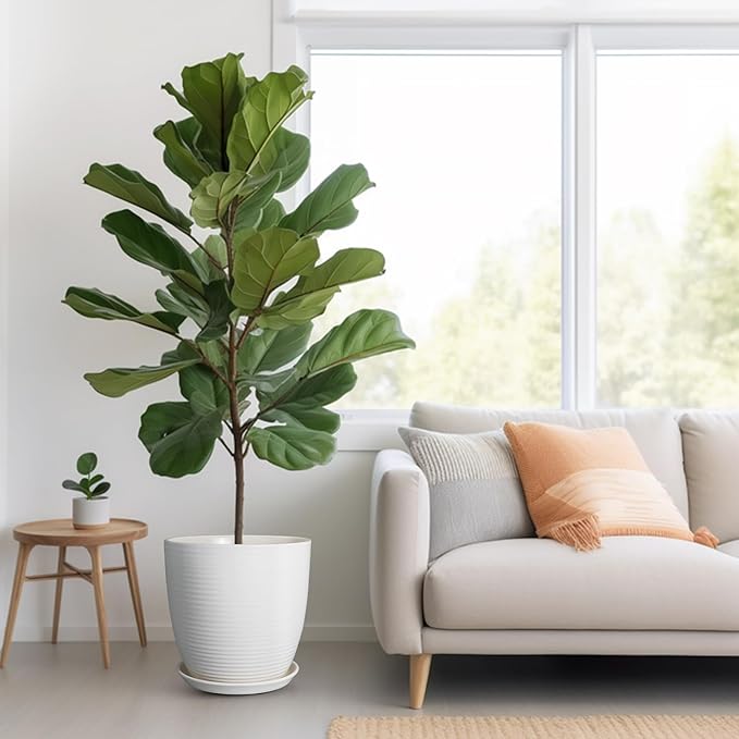 12 Inch Ceramic Planter Pot, Large Planter Pot with Drainage Hole and Saucer Round Flower Pot for Indoor Outdoor Plants, White-VerdiqueGarden