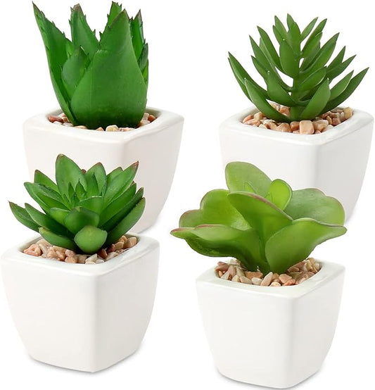 Hollyone Succulents Plants Artificial 4Pcs Small Fake Succulents in Pots Faux Plastic Potted Plants with White Ceramic Pot for Home Decor Office Desk Bathroom Shelf Indoor & Outdoor Decoration-VerdiqueGarden