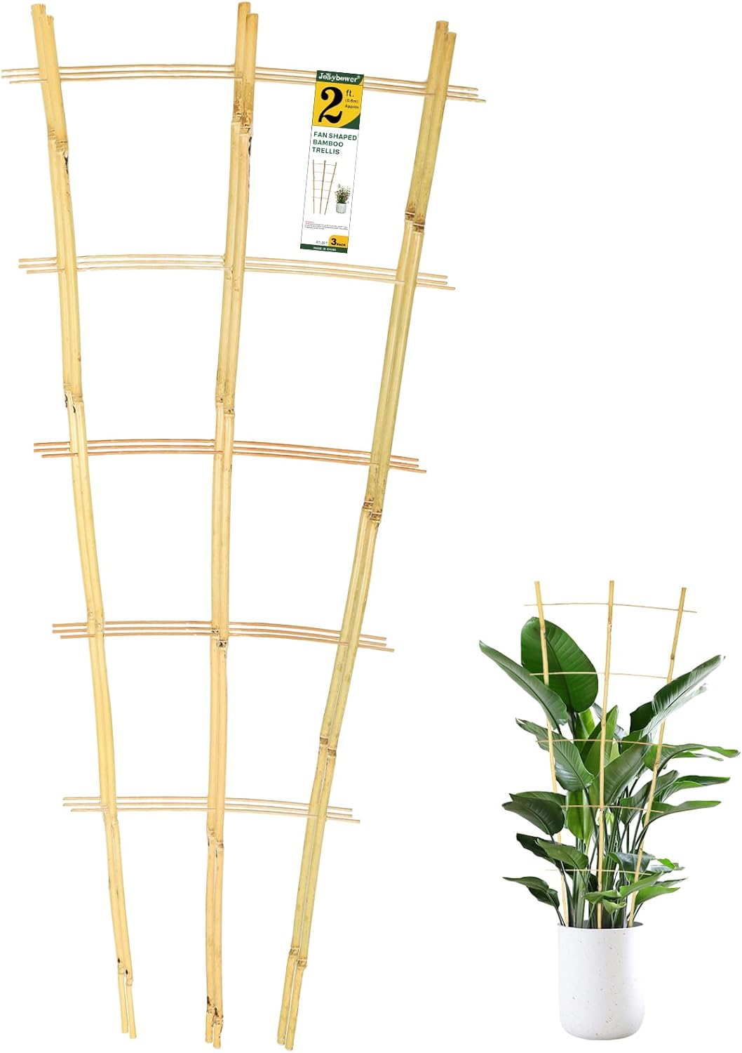 3PCS Fan-Shaped Bamboo Trellis, 2Ft Plant Trellis Indoor, Small Trellis for Potted Plants Indoor, Climbing Plants, Vegetables-VerdiqueGarden