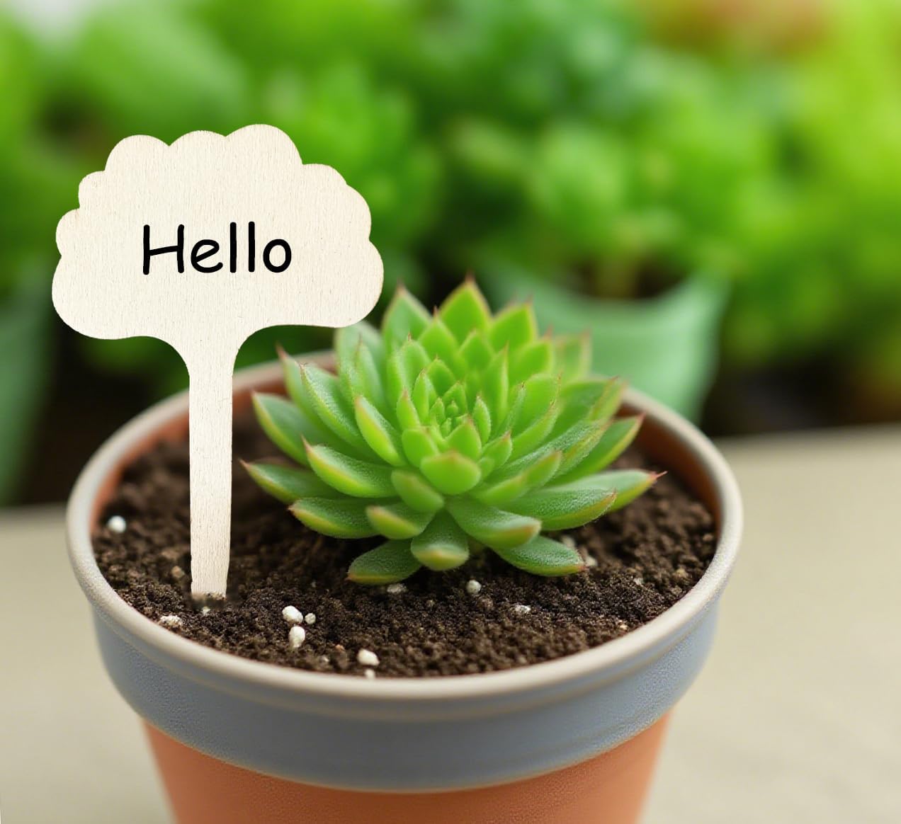 100 Pcs Wood Plant Labels, Natural Wooden Plant Marker Garden Sign Tags, T-Type Garden Markers for Succulents, Herbs, Seedlings, Potted, Flowers, Vegetables (Cloud)-VerdiqueGarden