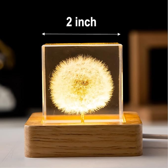 Flower Crystal Ball Night Light,2.4 inch Glass Ball Night Lamp with Woodern Base (Dandelion 1)-VerdiqueGarden