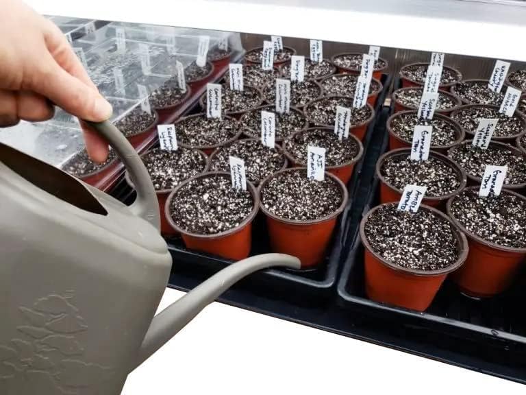 4 Inch Plastic Plant Labels for Seedlings, Flexible Waterproof Plant Tags, Vegetable Gardening Stake Tags for Potted Plants and Outdoor Garden, White, 1000 Pcs-VerdiqueGarden