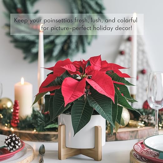 Poinsettia Plant Fertilizer - 3-1-2 NPK - Organic Liquid Plant Food for Christmas Flowers and Trees - 32oz Concentrate-VerdiqueGarden