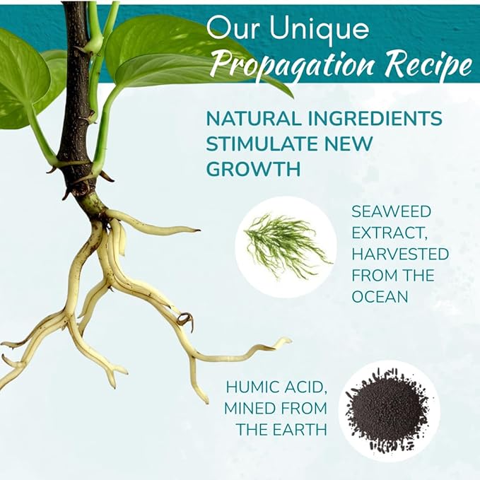 Houseplant Prop Drops - Propagation Promoter & Root Growth Hormone | Root Stimulator for Cuttings | Supports Stronger, Healthier Plants | Easy-to-Use Liquid Formula for Water & Soil Propagation | 8oz-VerdiqueGarden