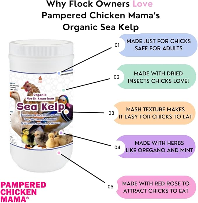 Organic Kelp for Chickens & Duck Feed (1 Pound): Chicken Vitamins | Chicken Supplements | Vitamins for Chickens | Pampered Chicken Mama-VerdiqueGarden
