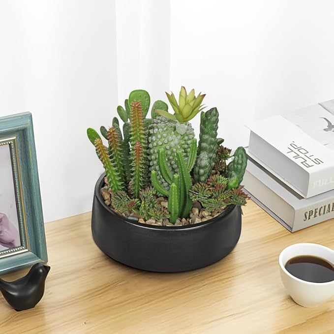DILATATA Artificial Cactus Plants in Pot 5.5 Inch Fake Succulents Arrangement Potted Plant in Black Ceramic Planter Bowl for Home Office Desk Shelf Living Room Bedroom Bathroom Decor-VerdiqueGarden