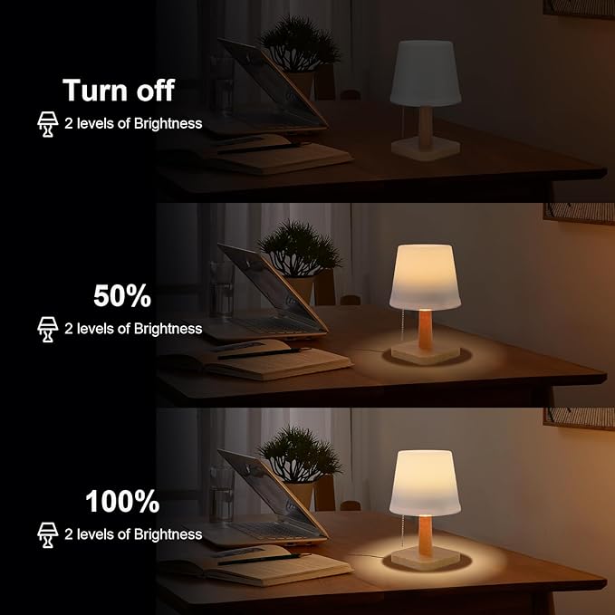 pearlstar Solar Table Lamp Outdoor - 2 Pack LED Waterproof Cordless Solar Desk Lamp with Pull Chain 2 Lighting Modes, Auto ON/Off for Outside Patio Coffee Table Garden Bedroom Living Room(White)-VerdiqueGarden