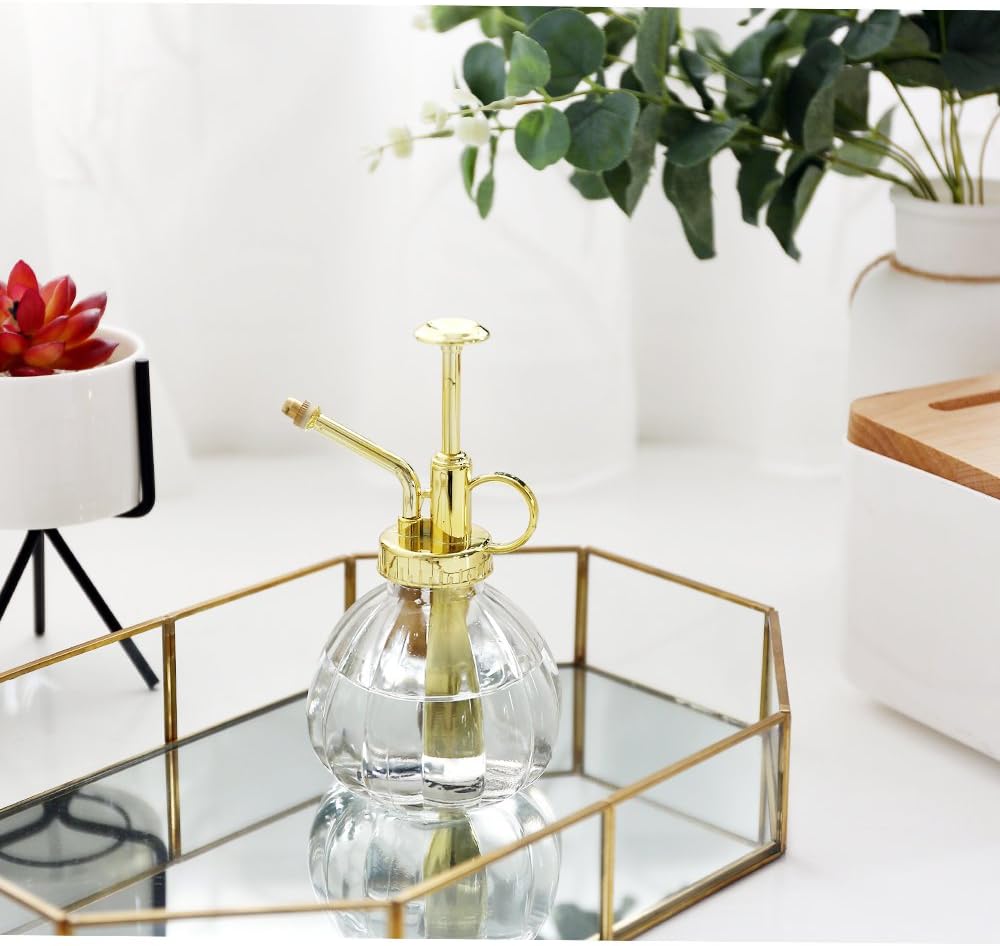Plant Mister, 6.5" Tall Decorative Glass Water Spray Bottle with Gold Top Pump Small Watering Can by Ebristar - Clear-VerdiqueGarden