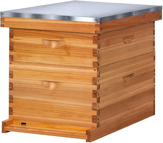 POLLIBEE 10 Frame Bee Hive,Beeswax Coated Beehive Kit for Bee Keeper,Complete Beehive Include 1 Deep Brood Bee Box and 1 Medium Bee Hive Box with Frame and Foundation-VerdiqueGarden