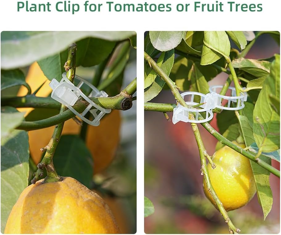 Plant Clips Plant Ties Set, 50 FT Reusable Plant Ties and 100 PCS Support Clips for Climbing Plants Orchid Flower Stems Vines Tomato, Garden Plant Support Cables for Indoor OutdoorPlants-VerdiqueGarden