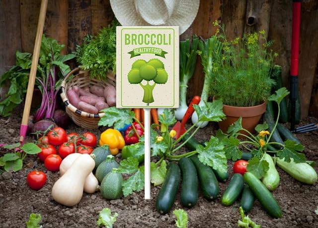 Eveokoki Aluminum Seed & Plant Labels - Plant Markes for Seedlings-Plant Tags for Pots - Garden Signs for Vegetable - Durable Markers for Plants Outdoor Waterproof - Garden Decor for Farmhouse-VerdiqueGarden