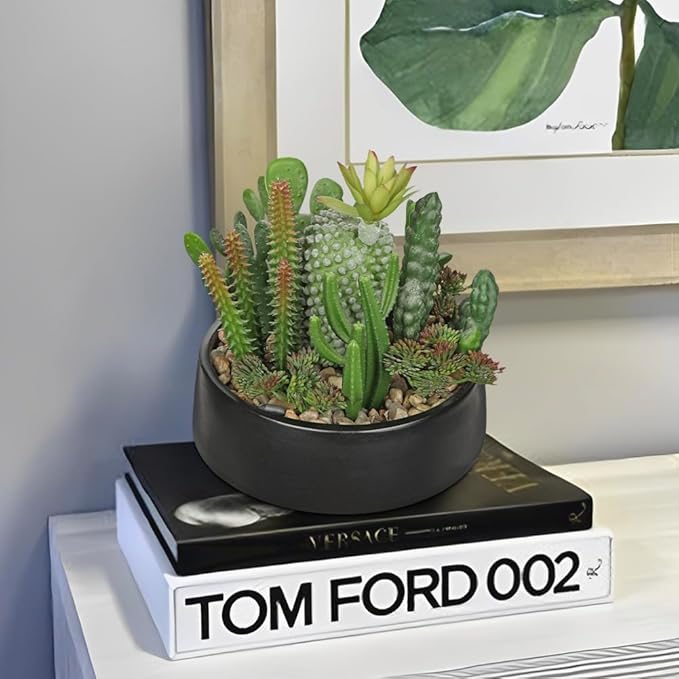 DILATATA Artificial Cactus Plants in Pot 5.5 Inch Fake Succulents Arrangement Potted Plant in Black Ceramic Planter Bowl for Home Office Desk Shelf Living Room Bedroom Bathroom Decor-VerdiqueGarden