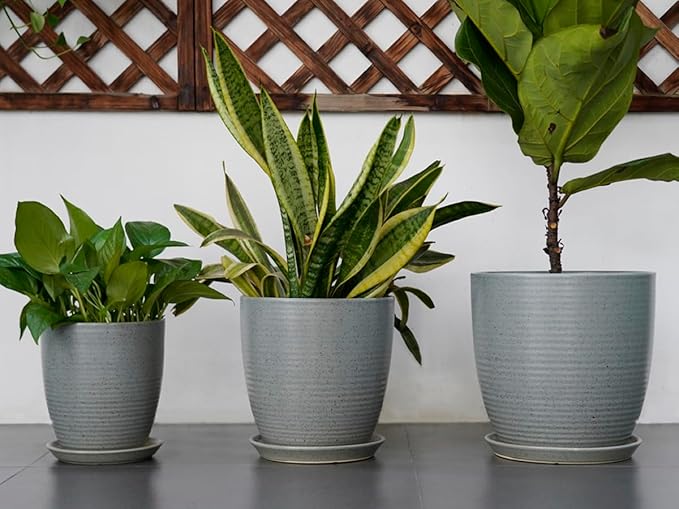 12 Inch Plant Pot, Ceramic Planter Pot with Drainage Hole and Saucer Round Large Flower Pot for Indoor Plants, Light Gray-VerdiqueGarden