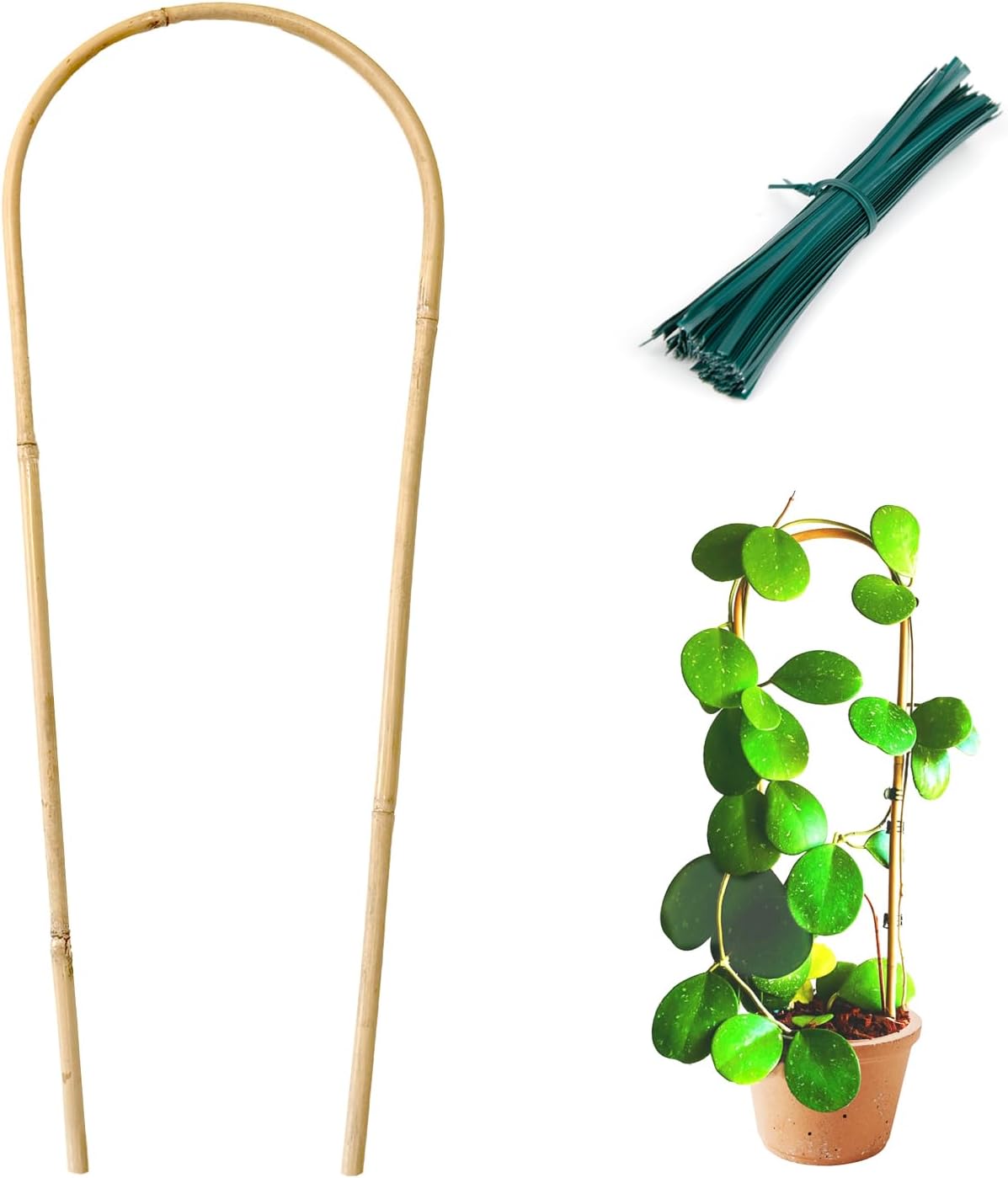 Indoor Plant Trellis for Climbing Plants 16in, 6 Pack Arch Bamboo Trellis for Potted Plants-VerdiqueGarden